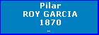 Pilar ROY GARCIA