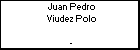 Juan Pedro Viudez Polo